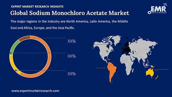 Global Sodium Monochloro Acetate Market by Region