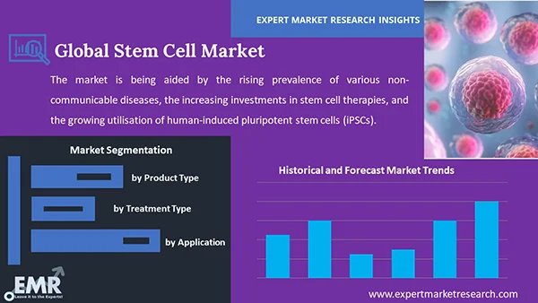 Global Stem Cell Market by Segment