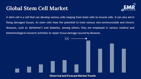 Global Stem Cell Market