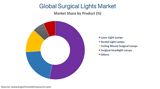 Global Surgical Lights Market By Product