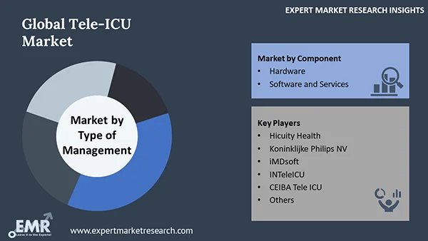 Global Tele Icu Market By Segment