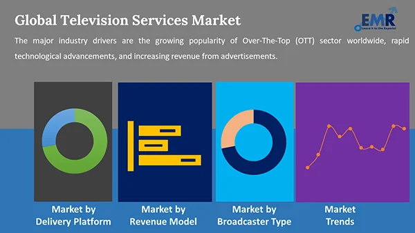 Global Television Services Market by Segment