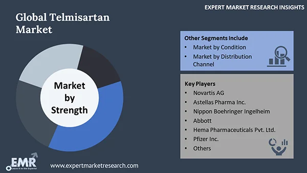 Global Telmisartan Market by Segment