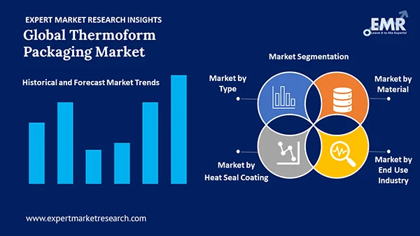 Global Thermoform Packaging Market by Segment