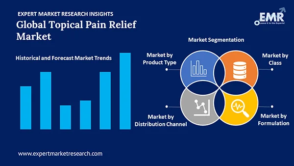 Global Topical Pain Relief Market by Segment