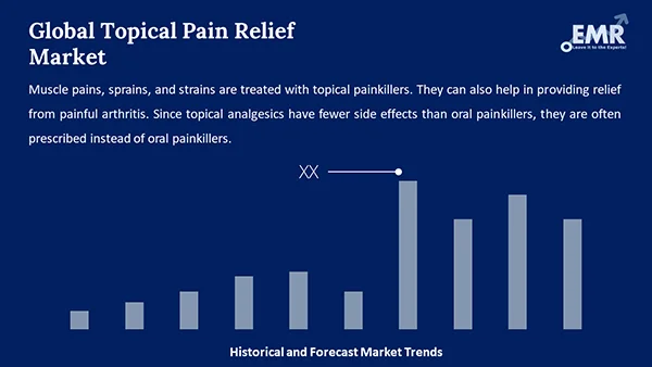 Global Topical Pain Relief Market