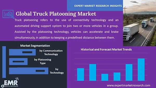 Global Truck Platooning Market By Segment