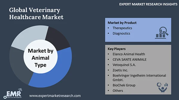 Global Veterinary Healthcare Market by Segment