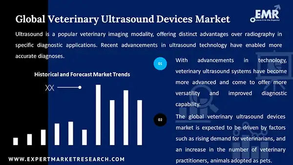 Global Veterinary Ultrasound Devices Market