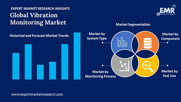 Global Vibration Monitoring Market by Segment