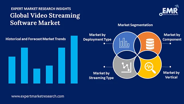 Global Video Streaming Software Market by Segment