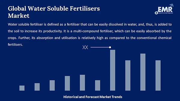 Global Water Soluble Fertilisers Market