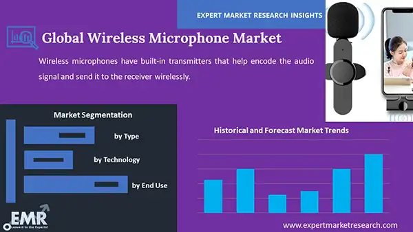 Global Wireless Microphone Market by Segment