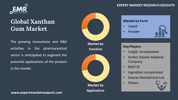 Global Xanthan Gum Market Segment