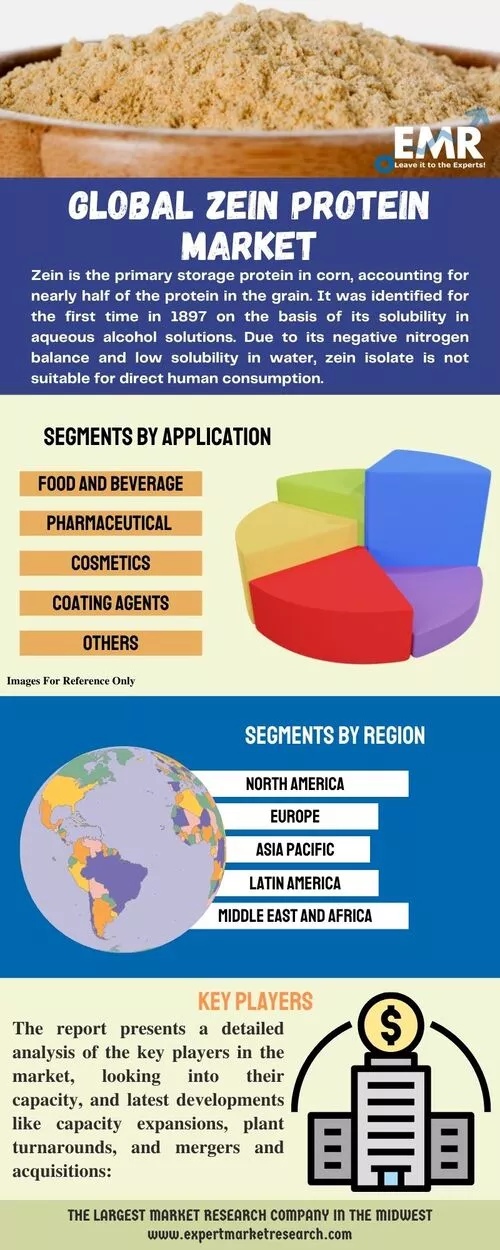Global Zein Protein Market