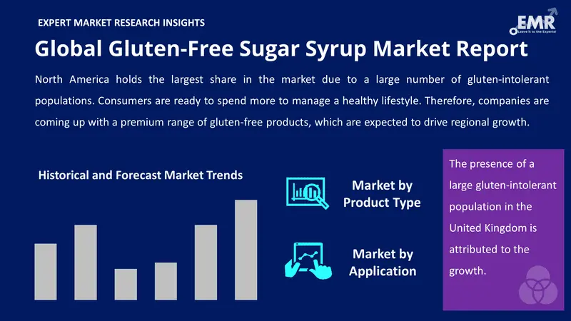 gluten free sugar syrup market by segments