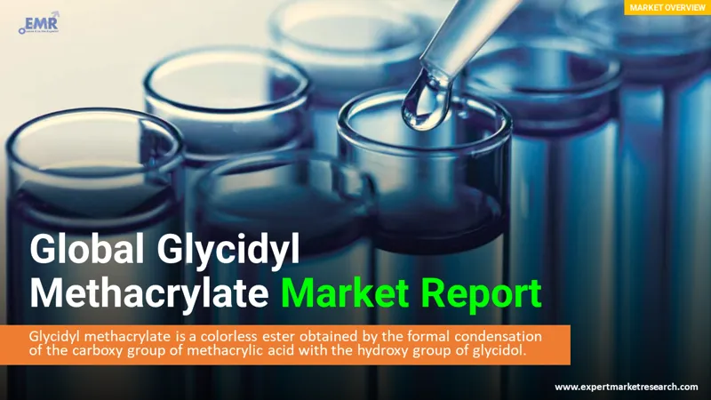 glycidyl methacrylate market