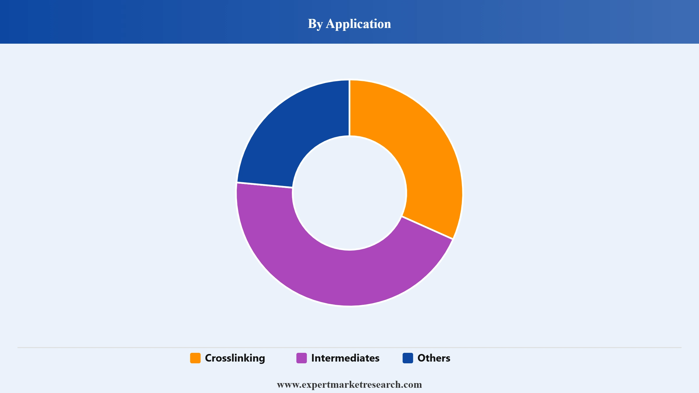 Glyoxal Market Segment Application