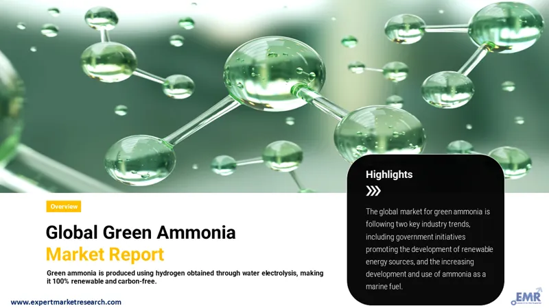 green ammonia market
