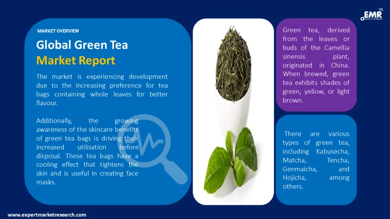 green-tea-market-by-segments