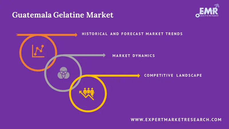 guatemala gelatine market report