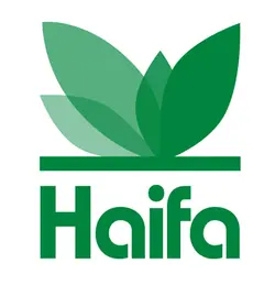 haifa group