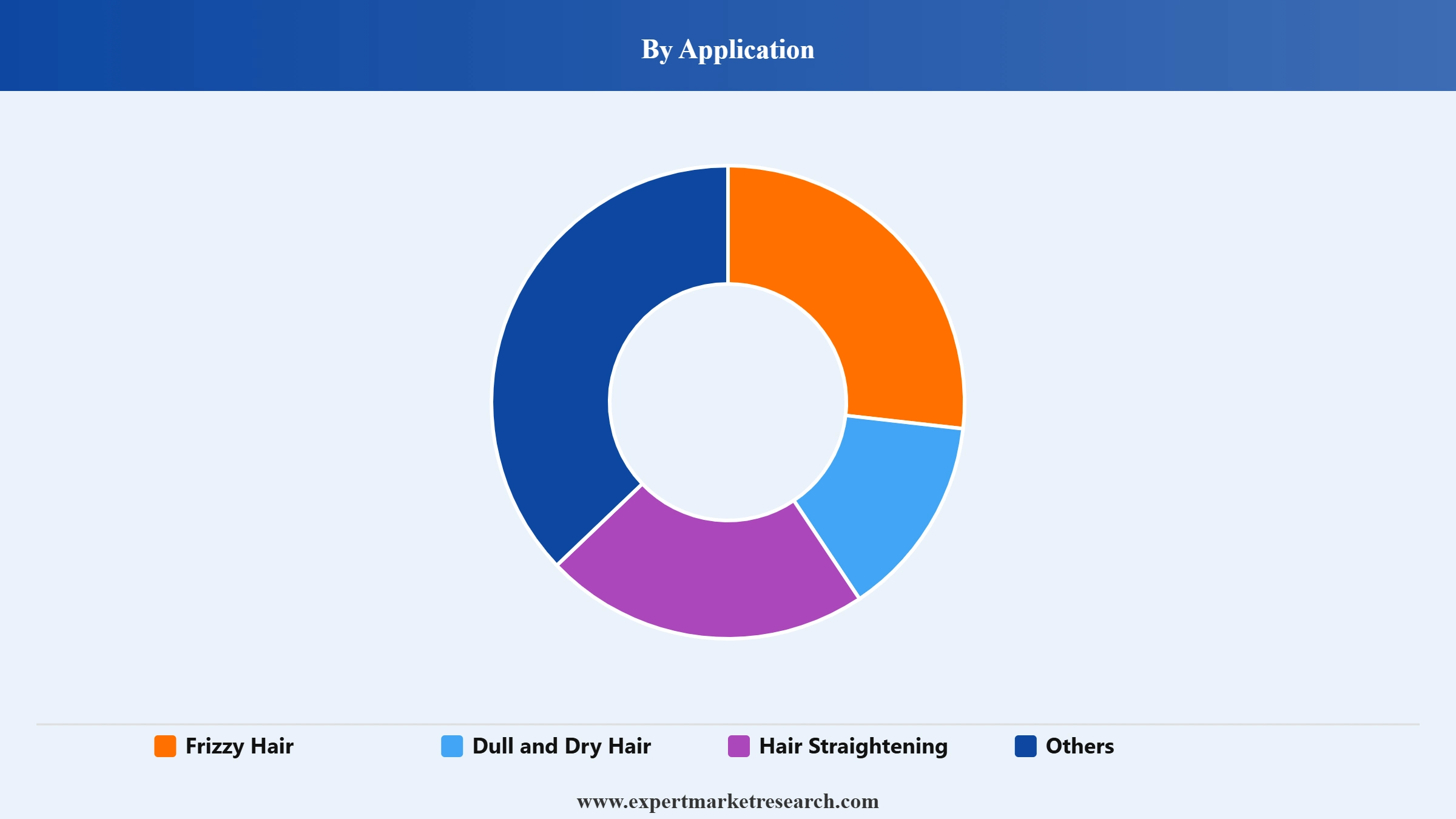 Hair Botox Market Segment Application