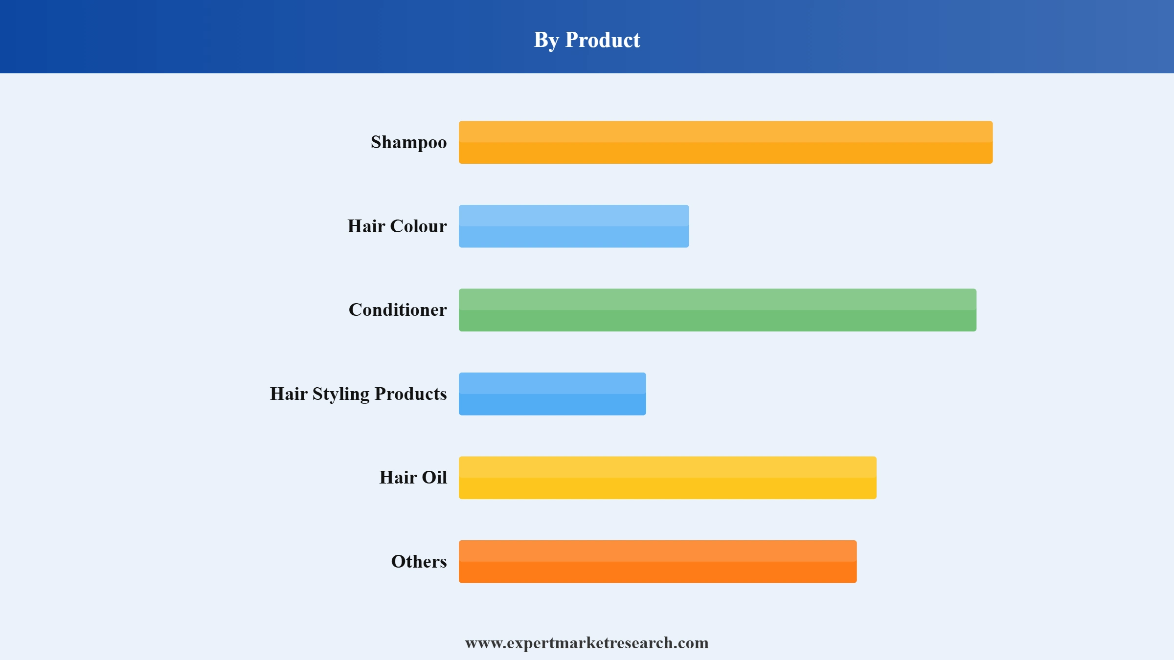 Hair Care Market Segment Product