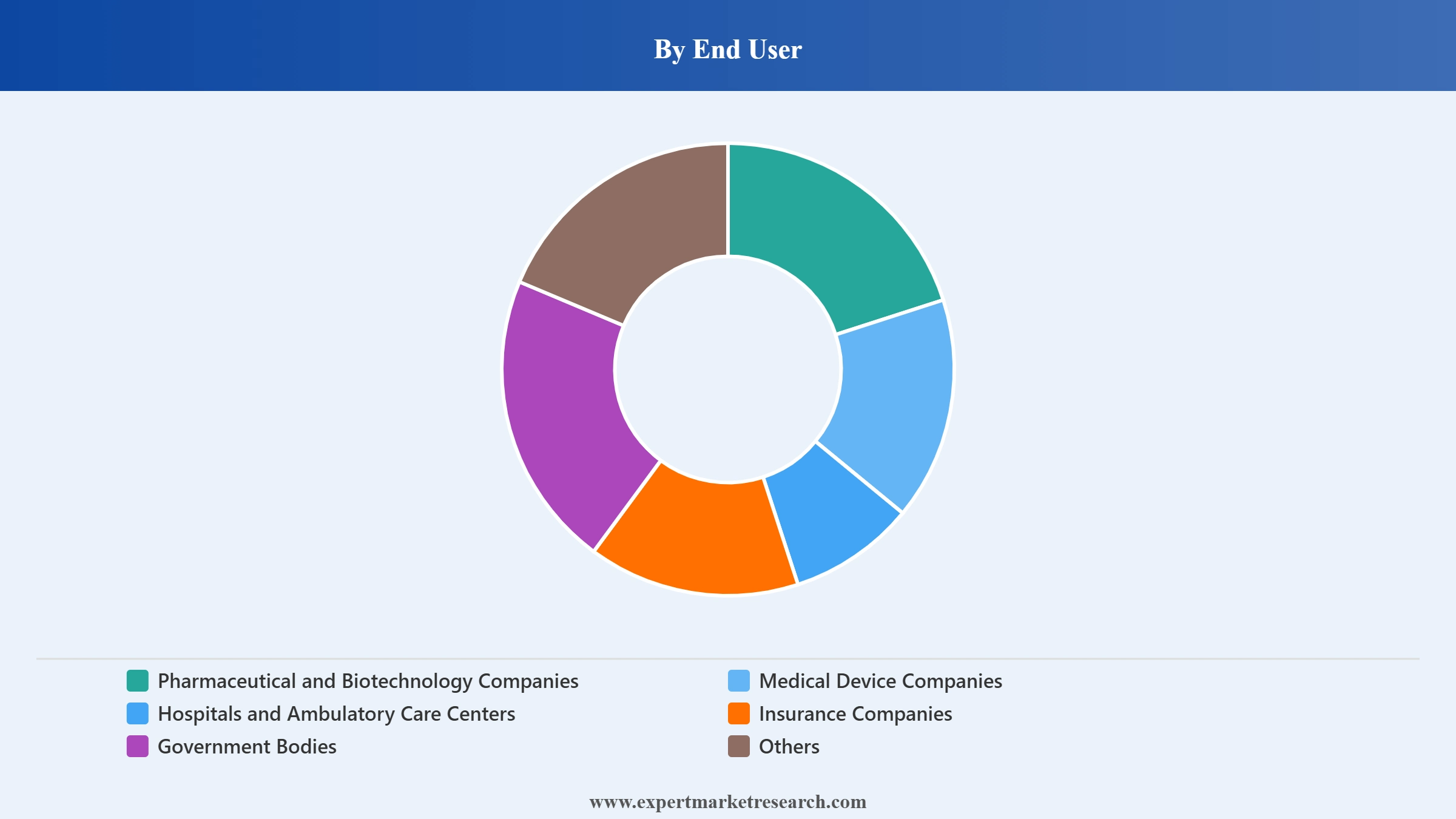 Healthcare Consulting Market Segment End User