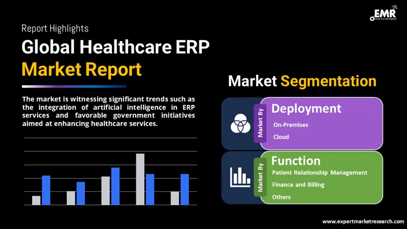 Global Healthcare ERP Market