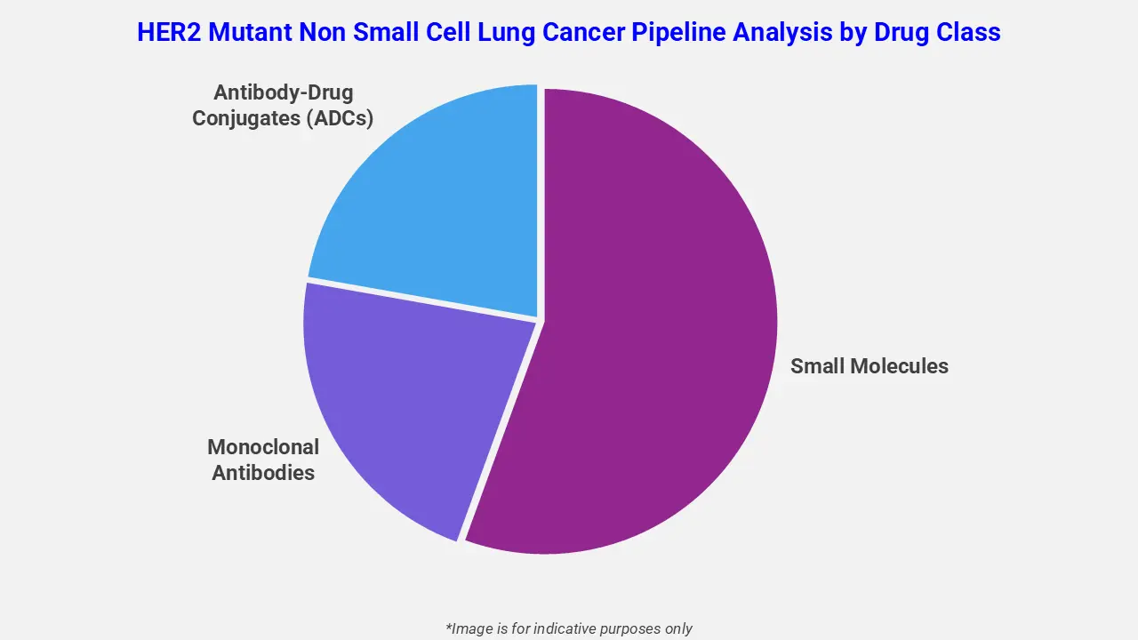 HER2 Mutant Non Small Cell Lung Cancer Pipeline Analysis by Drug Class