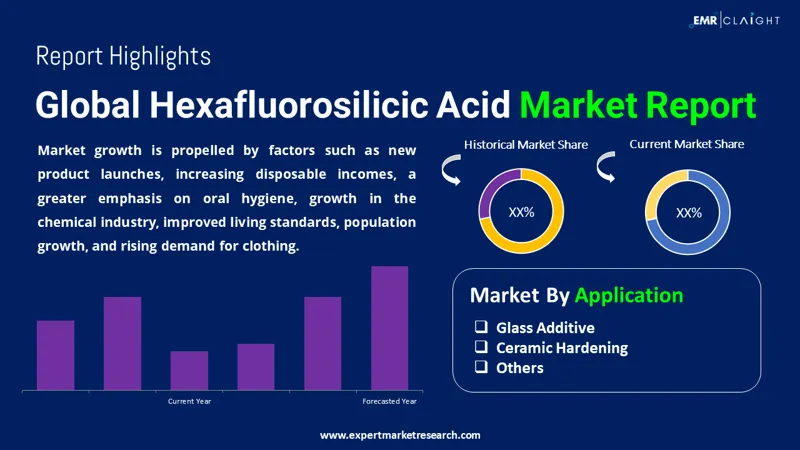 Global Hexafluorosilicic Acid Market
