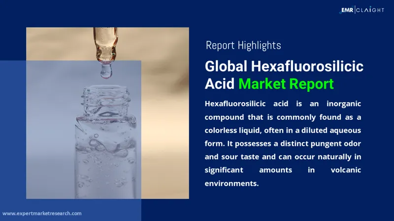 Global Hexafluorosilicic Acid Market