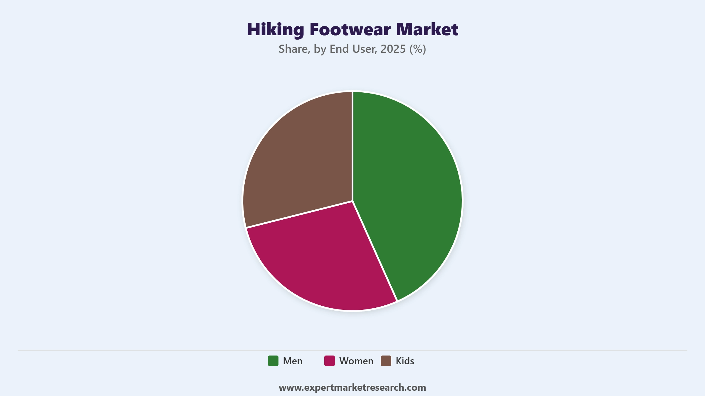 Hiking Footwear Market Segment End User