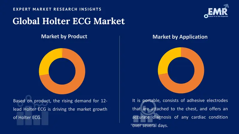 holter ecg market by segment
