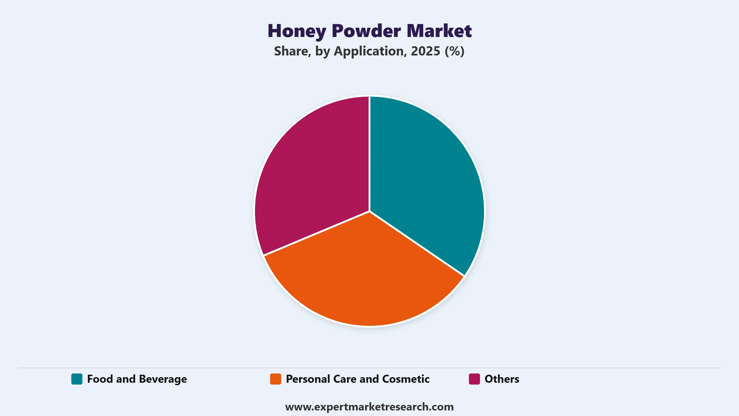 Honey Powder Market Segment Application