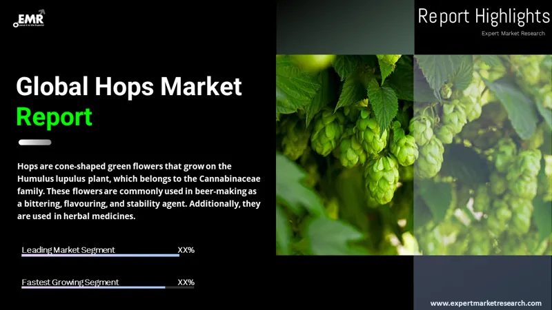 hops market