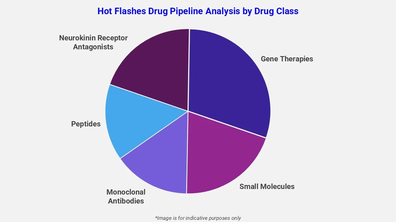 Hitzewallungen Drug Pipeline Analysis By Drug Class