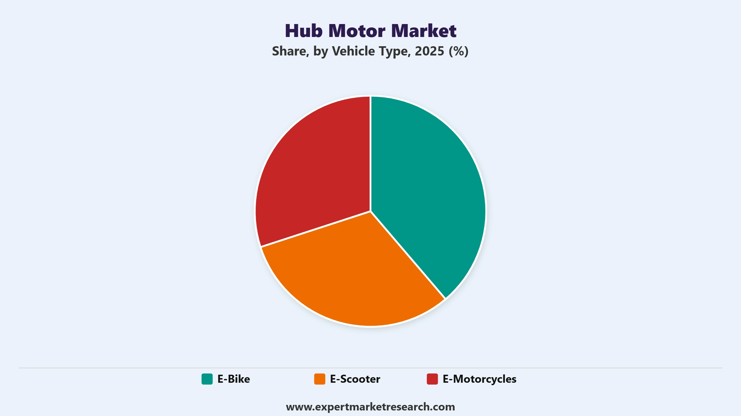 Hub Motor Market Segment Vehicle Type