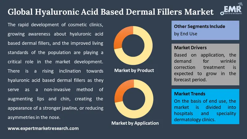 hyaluronic acid based dermal fillers market by segments