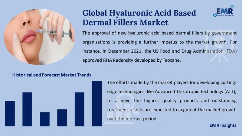 hyaluronic acid based dermal fillers market