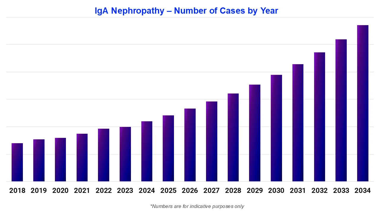 IgA Nephropathie - Anzahl der F&auml;lle nach Jahr