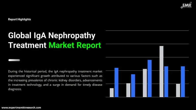 iga nephropathy treatment market