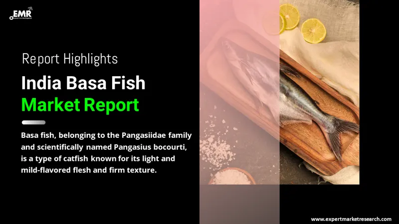 India Basa Fish Market