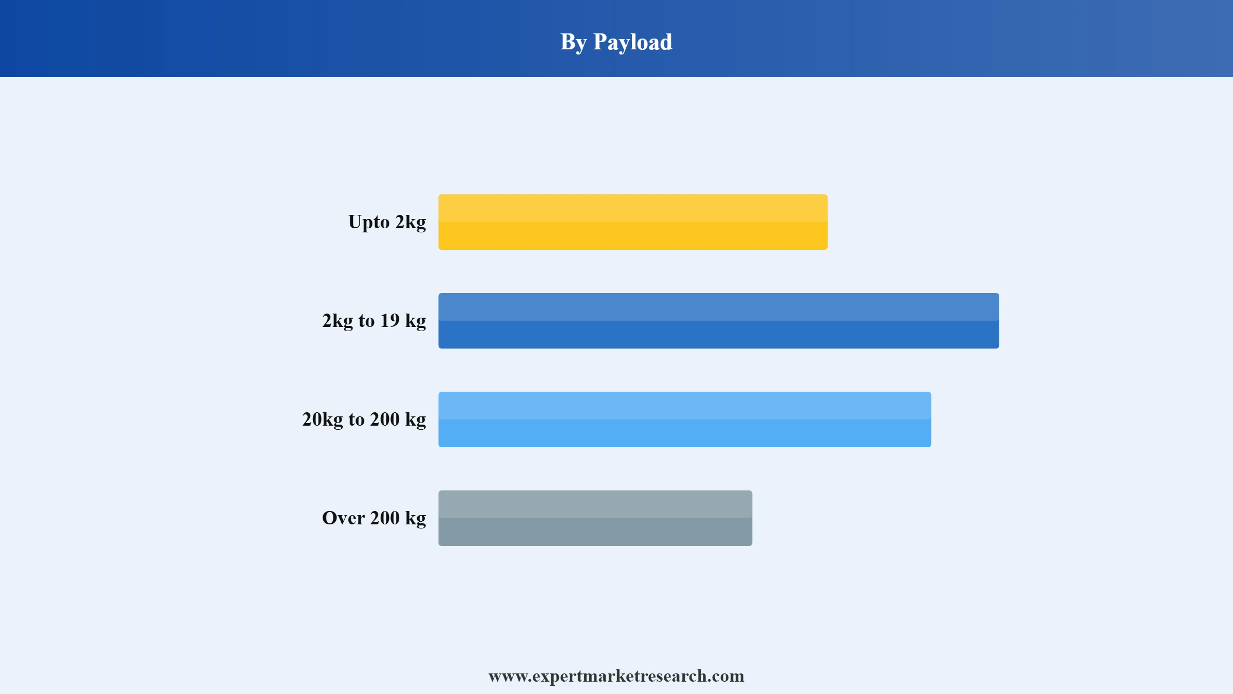 India Drones Market Segment Payload