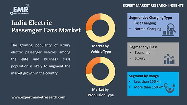 India Electric Passenger Cars Market by Segment