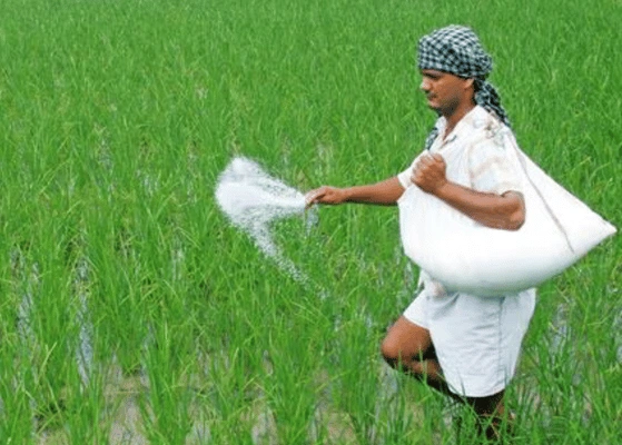 India Fertilizer Subsidy Policies