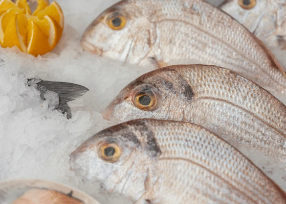 India Fish Supply Chain Challenges