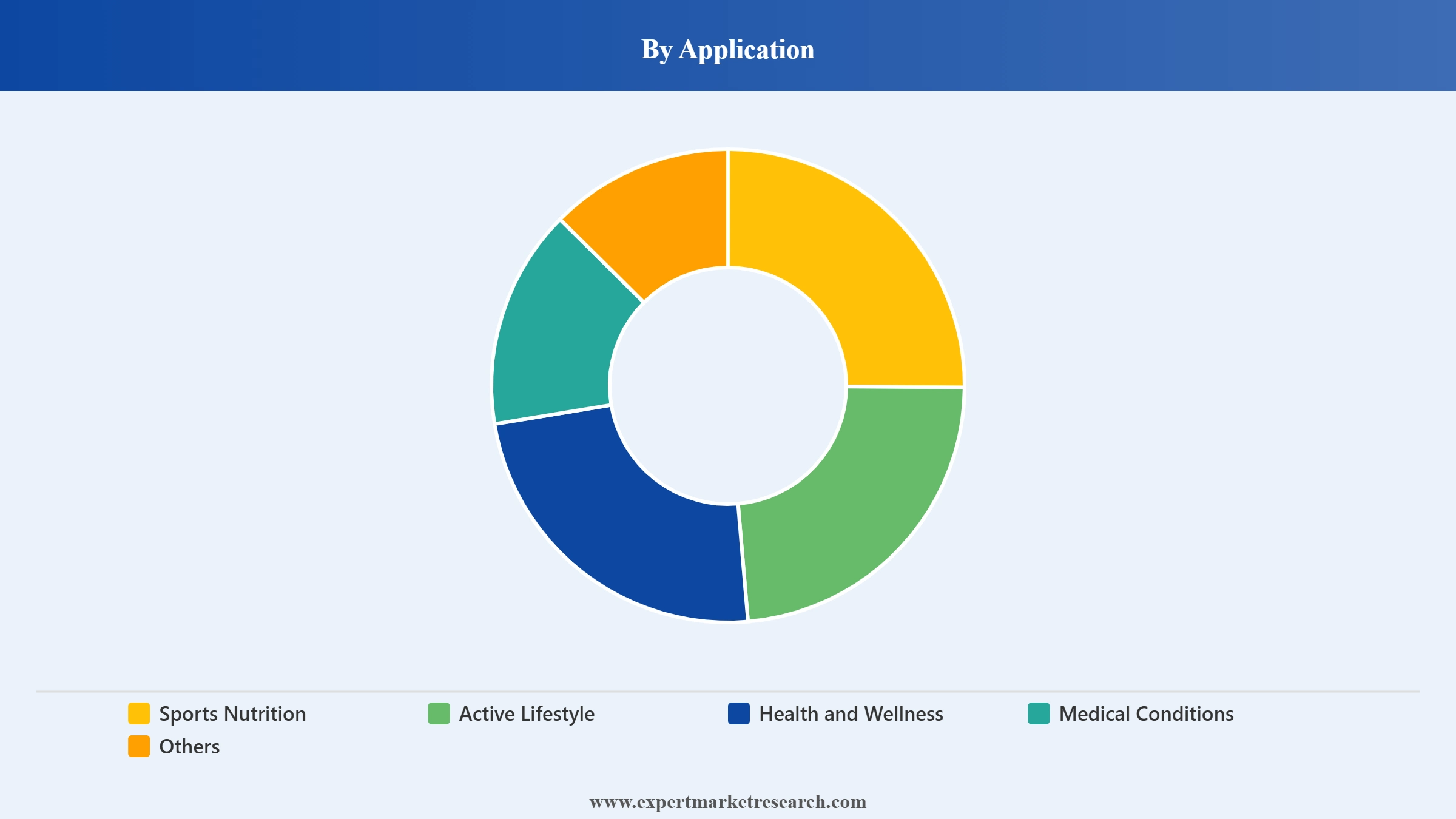 India Hydration Supplement Market Segment Application