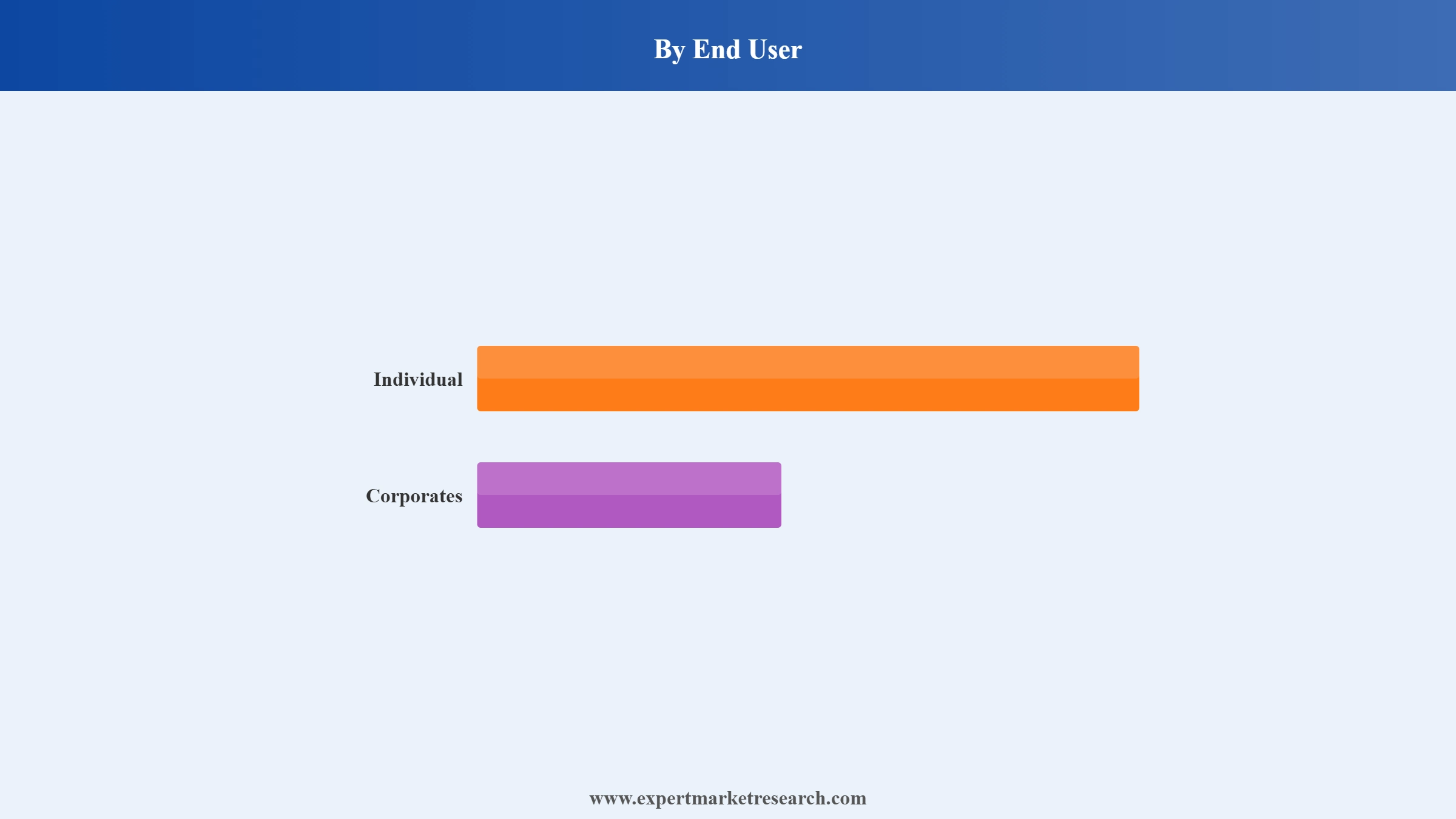 India Insurance Market Segment End User